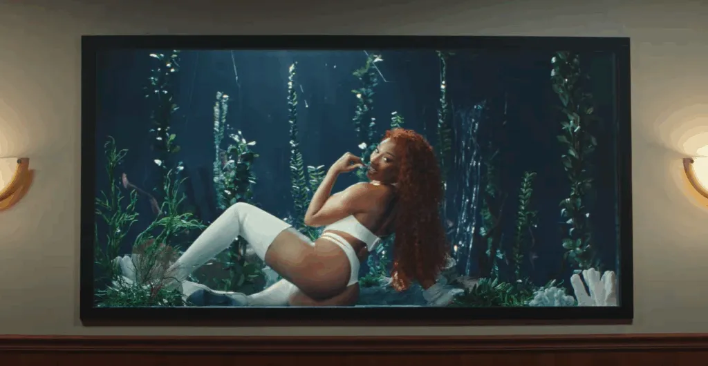 rapper megan thee stallion whenever